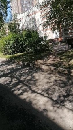 Летняя погодка
