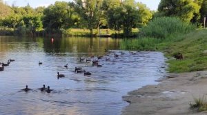 Променад вокруг Везёлки 02.07.25.