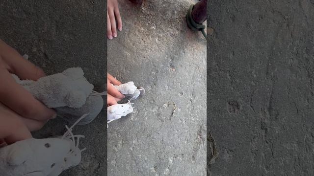 Буша развлекается на буне