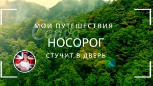 Носорог стучит в дверь, что делать? Удивительная страна Непал.