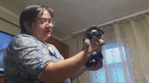 Жизнь в деревне - Наши радости ! Милая Собачка Соня и её малыши Чук и Гек