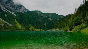 Каждый кадр зеленый В формате 4K HDR Dolby Vision Nature (60 Кадров В Секунду)