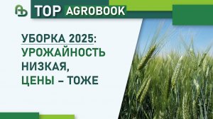 Старт уборки 2025: урожайность низкая, цены – тоже | TOP Agrobook: обзор аграрных новостей