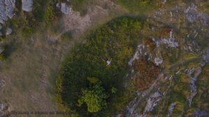 Ты не осознавал, насколько жива Земля, пока не увидел это видео - One In The Same -- Derek Clegg --