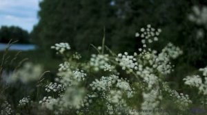 Сердце рвётся наружу, когда ритм совпадает с кадрами - Alit -- Ketsa -- Summer With Sound