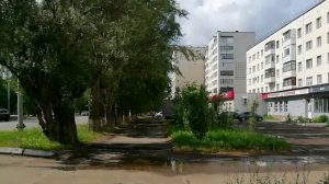 У них же праздник - День собак