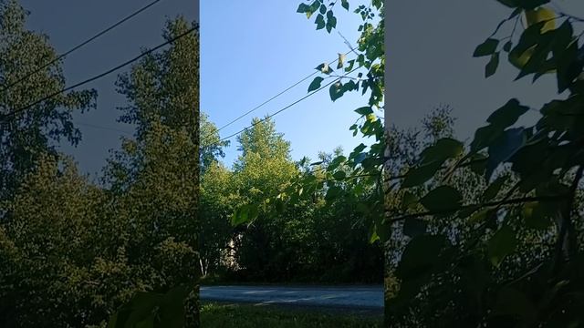 Про ответственность и бывших мужей