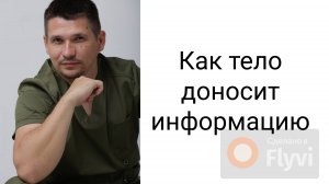 как тело доносит информацию