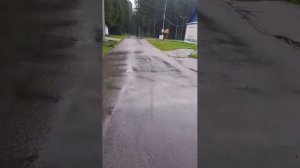 в лесу