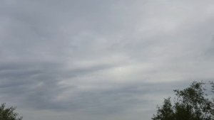 Рыболовные войска в знаменитом селе Вятское