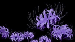 я вернулся, а ты зыходи