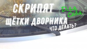 Скрип дворников Как убрать скрип дворников почему скрипят дворники по стеклу