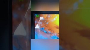 зимняя рыбалка на Волге.Ивановская область