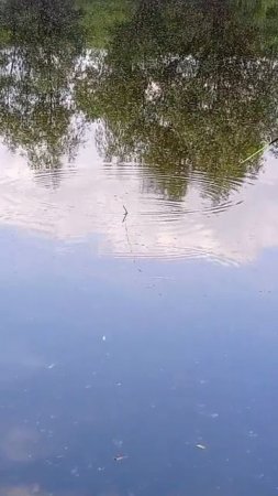 Рыбалка на поплавок в деревне