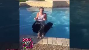Хитрая жопа