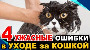 4 Ужасные Ошибки в Уходе за Кошкой