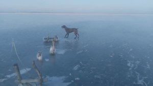 Пёс 7 сезон 1 серия ледовый поход