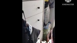 Ознакомительный влог 4x4 Первое видео