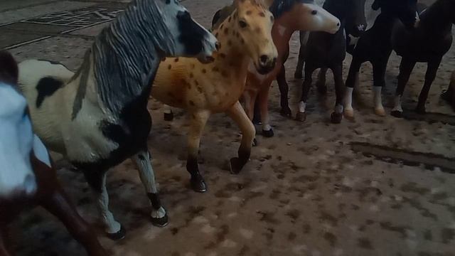 лошади играют в правда действие или ложь смотреть онлайн