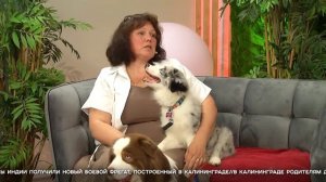 СЕГОДНЯ УТРОМ #7365, 2 июля 2025