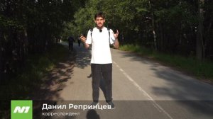 Полмиллиарда, чтобы потравить мошку. Нижневартовск