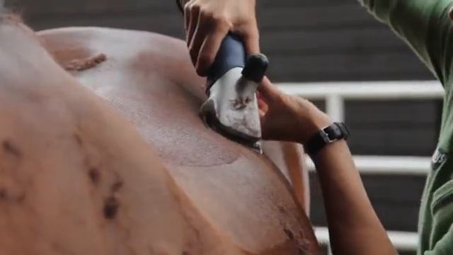 Heiniger Xplorer машинка беспроводная для стрижки лошадей и КРС