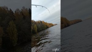 Якимиха,ловля осенней хищной рыбы на Волге в Ивановской области.