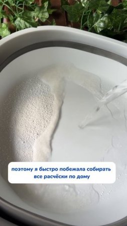 copy_60946BF4-03AB-42C5-8755-2839CA8611D3
