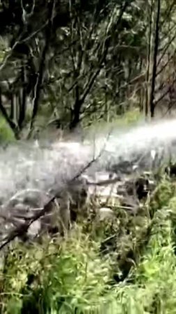 В Подмосковье разбился ЯК 18, 4 человека погибли