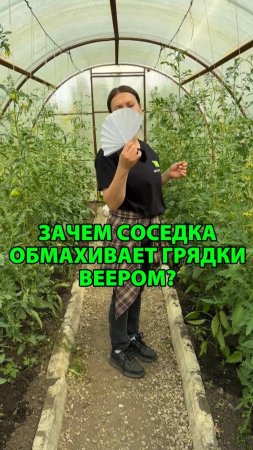 Зачем соседка обмахивала грядки веером