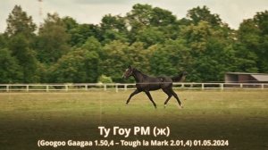 Ту Гоу РМ (ж) (Googoo Gaagaa 1.50,4 – Tough la Mark 2.01,4) 01.05.2024