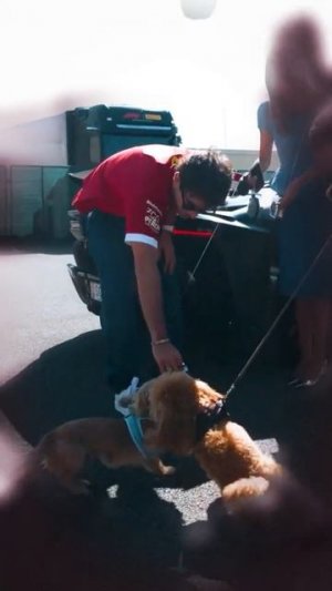 Островок мира и спокойствия для фанатов Леклера и Ferrari❤️

#leclerc#ferrari#dog#f1#formula1