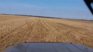 по полям