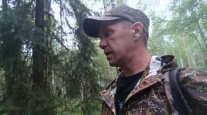 РАЗВЕДКА ПОСЛЕ ДОЖДЕЙ, ПОИСК БЕЛЫХ ГРИБОВ