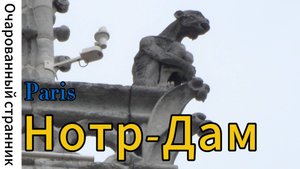 Собор Парижской Богоматери