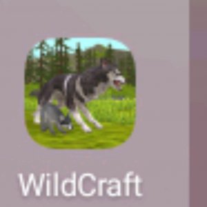 играем в widCkraft