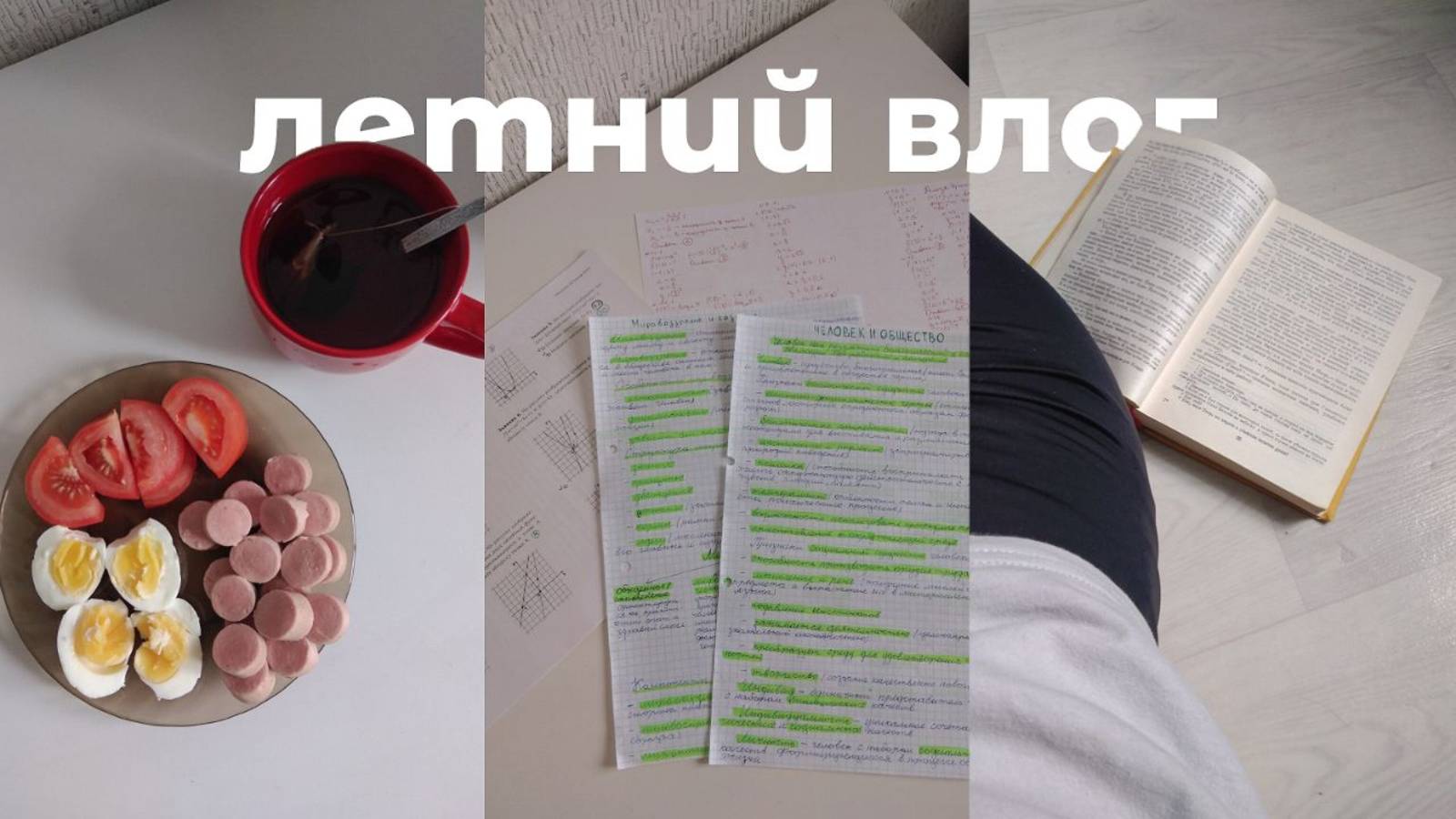 ПЕРВАЯ НЕДЕЛЯ ЛЕТА | summer vlog | чтение, подготовка к ЕГЭ, болею, рисую и т.д. смотреть онлайн