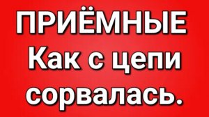 Приёмные/Обзор.
