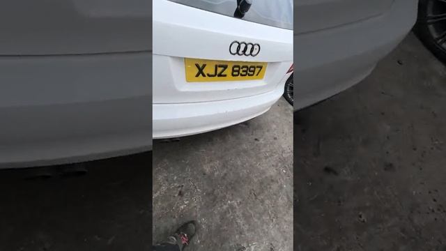 XJZ8397