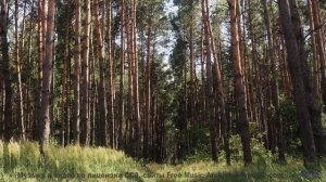 Почему волны здесь звучат как голоса - Come Hell Come Sunshine -- Tadz -- My Way, All Day, Everyday