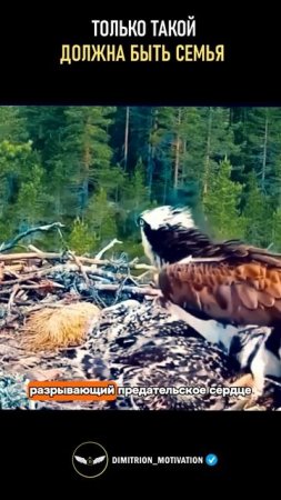 Только такой должна быть семья #мудрость