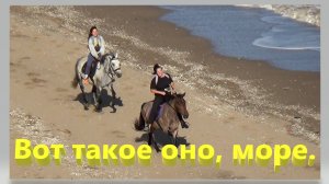 Вот такое оно, море! Азовское море. Таганрогский залив. Ейск.