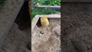 Маленький фильм про войну! В песочнице СССР - ГЕРМАНИЯ