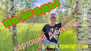 Круглый год живём на даче. Луговые ягоды, ремонт бани и шашлык из картошки.