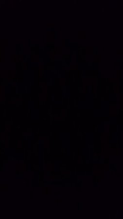 Это видео нужно для того чтобы оставить ссылку на группу в Ватсапп