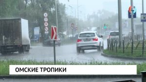 Омские тропики