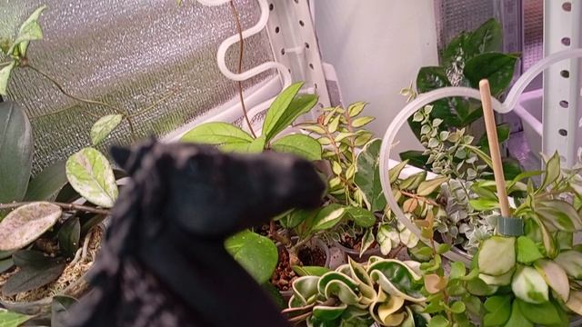 новости смотреть онлайн