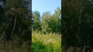 Про "эффект разбитых окон"