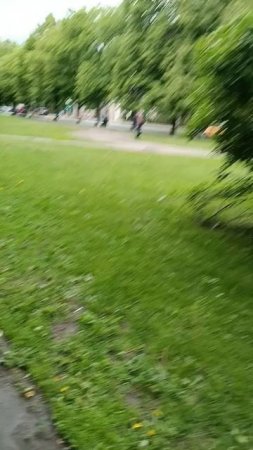 В сквере.