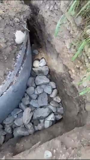 video_2025-07-02_15-37-42